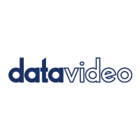 Datavideo